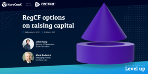 RegCF Options on Raising Capital