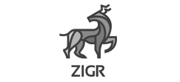 Zigr Inc.